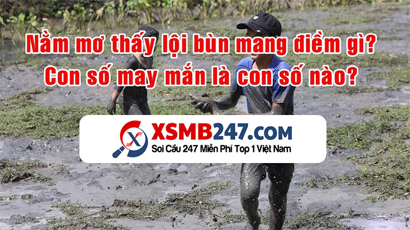 Giải mã giấc mơ thấy lội bùn