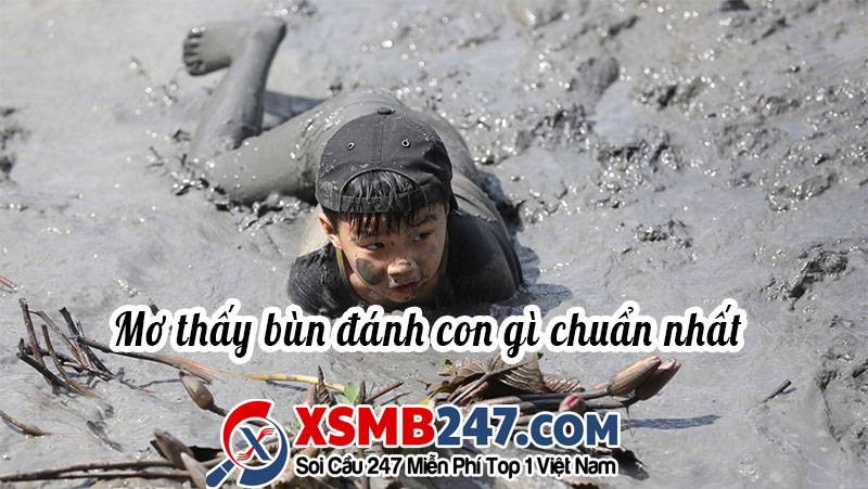 Mơ thấy lội bùn đánh con gì