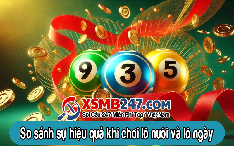 So sánh sự hiệu quả khi chơi lô nuôi và lô ngày