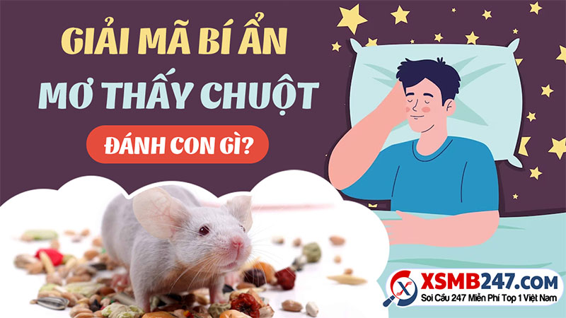Mơ thấy chuột đánh con gì
