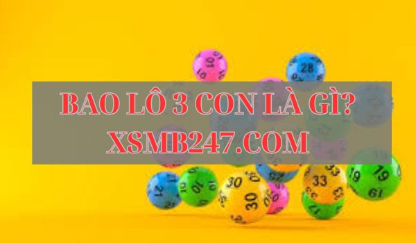 bao lô 3 con là gì