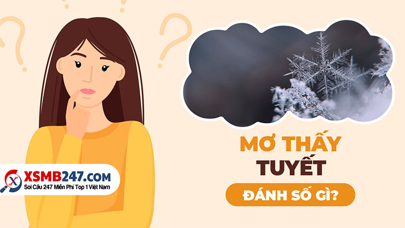 Mơ thấy tuyết đánh con gì