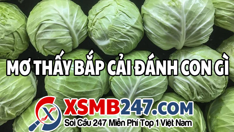 Mơ thấy bắp cải đánh con gì