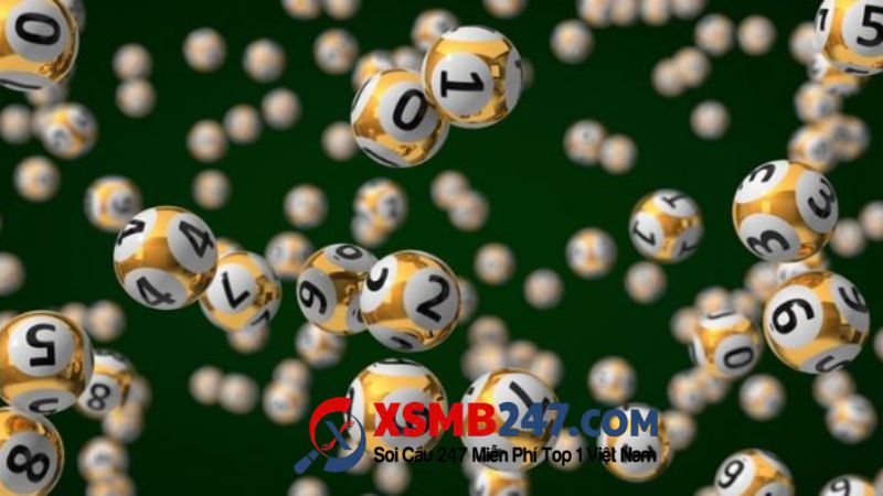 Bí quyết nuôi lô khung 7 ngày hiệu quả cao