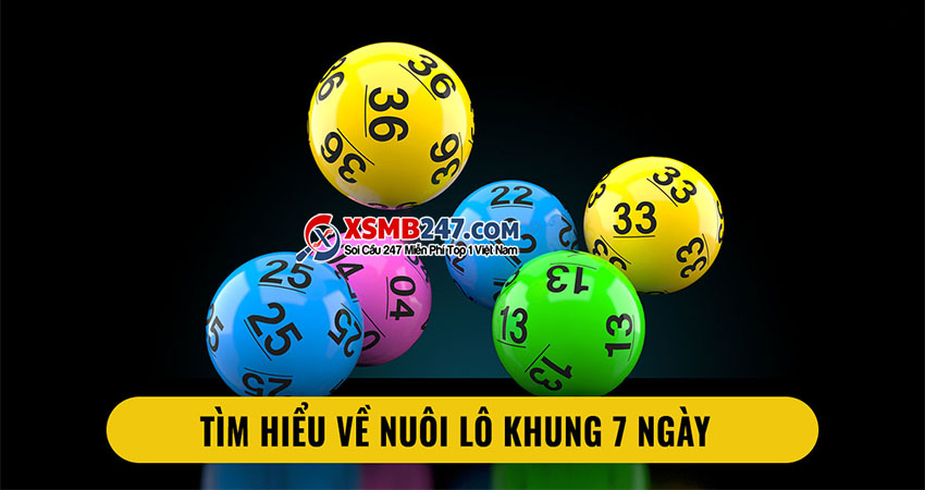 nuôi lô khung 7 ngày