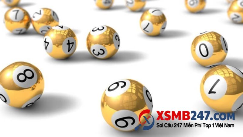 Khái niệm về bảng thối thân