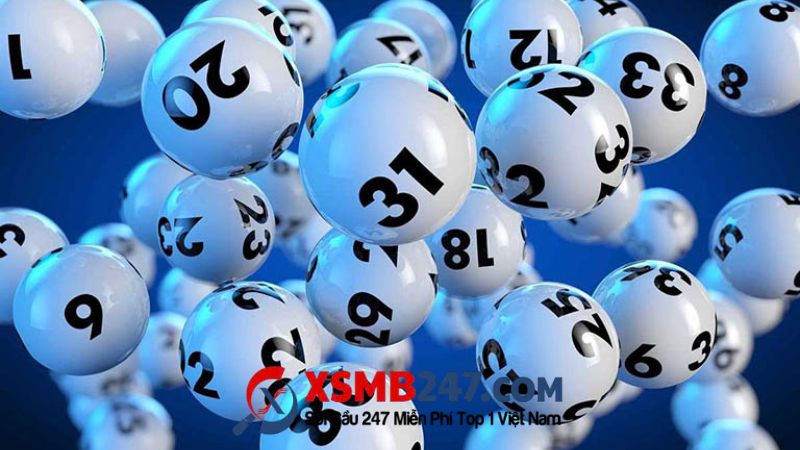 Lưu ý cần nắm khi áp dụng phần mềm